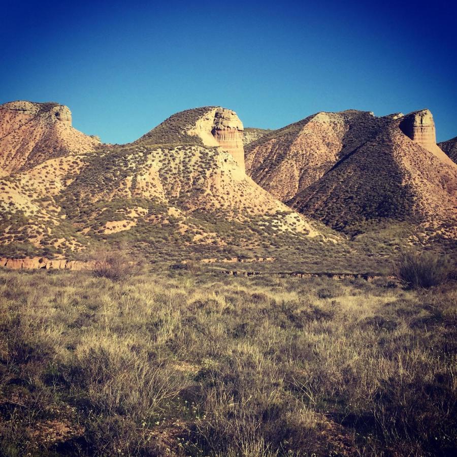 בית הארחה Gorafe 	Cuevas El Torriblanco מראה חיצוני תמונה